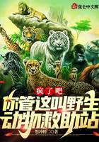 Crazy: you call this a wildlife rescue station